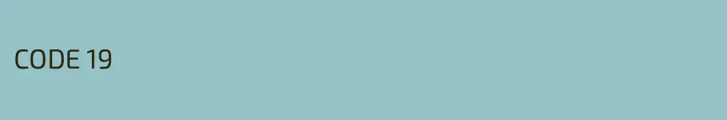 CODE 19